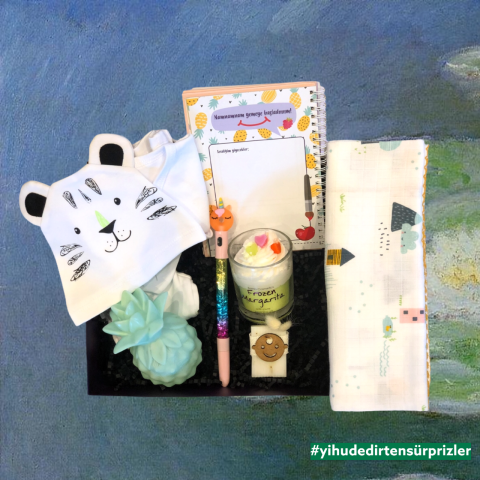 Tiny Tiger Unisex Bebek Hediye Kutusu